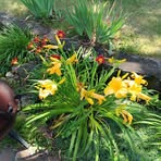 Mario Larkin - Facebook
