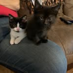 Mari Olson - Facebook