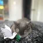 Mari Olson - Facebook