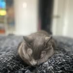 Mari Olson - @num1lily - Instagram