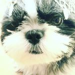 ketchup - @mariperry21 - Instagram