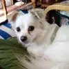 mariperry - @user4528011 - TikTok