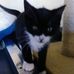 Mari Porter - Facebook