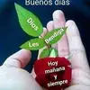 flor de loto - @marire305 - TikTok