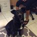 Mari Reeves - Facebook