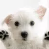 rileymari - @rileymari6 - TikTok