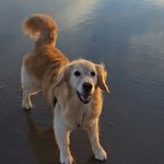 Mari Robbins - @willowrobbinsmom - Instagram