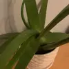 Mariroche - @maleeroche - TikTok