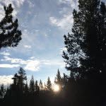 Mari Rogers - @marirogers1971 - Instagram