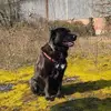 marionrothman695 - @marionrothman695 - TikTok