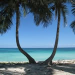 Mari Russell Hyke - @island.fever - Instagram
