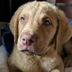 Ann Marie Rutledge - @rutledge.annmarie - Instagram