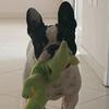 mari_salgado - @mari_salgado - TikTok