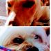 Marii Schell - Facebook