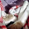 Mariann Schroeder - @mariann.schroeder - TikTok