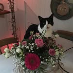 Mari Shaw - @mari.shaw.37 - Instagram