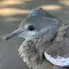 mari.short - @mari.short - TikTok
