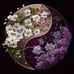 Mari Simon - Facebook
