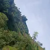mari simon - @devora.pichiya - TikTok