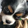 marissnipes - @marissnipes - TikTok