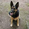 mariesweeney - @mariesweeney155 - TikTok