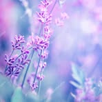 Mari Terry - Facebook