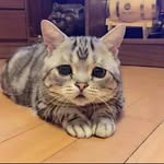 Mari_Turner - @kuudere676 - Instagram
