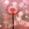 Mari Walker - @mariwalker4 - TikTok