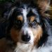 Mari Webb - Facebook