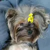 Mari Werner - @mari.werner.da.matta - TikTok