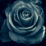 Mari Wilkinson - Facebook