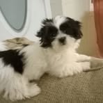 Mari Wright - Facebook