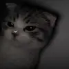 mariwu - @mariwu8 - TikTok