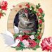 Maria Abrantes - Facebook