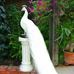 Maria Isabel Abrigo Tuya - Facebook