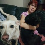 Maria Abud de Campos - @cida.abud - Instagram