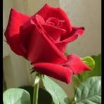 Maria Adam - Facebook