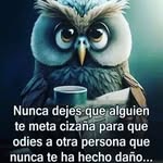 Rosa Maria Adauto - @adautorosamaria - Instagram