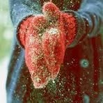 Maria Ahern - Facebook