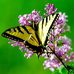 Marika Aiken - Facebook