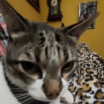 Maria Aires - Facebook