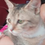 Maria Akhter - @mariaakhter42 - Instagram