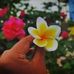 Maria Akhter - Facebook