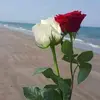 mariaalamos4478 - @mariaalamos39 - TikTok