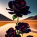 Nury M Alcon - Facebook