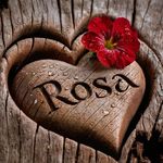 Rosa Maria Alcozer - @rosamariaalcozer - Instagram