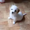 Maria Aldea - @maria.aldea73 - TikTok