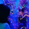 Marian.alducin - @marian.alducinn - TikTok