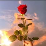 Maria Al-laham - Facebook