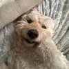 Mariaralston - @maria.ralston - TikTok